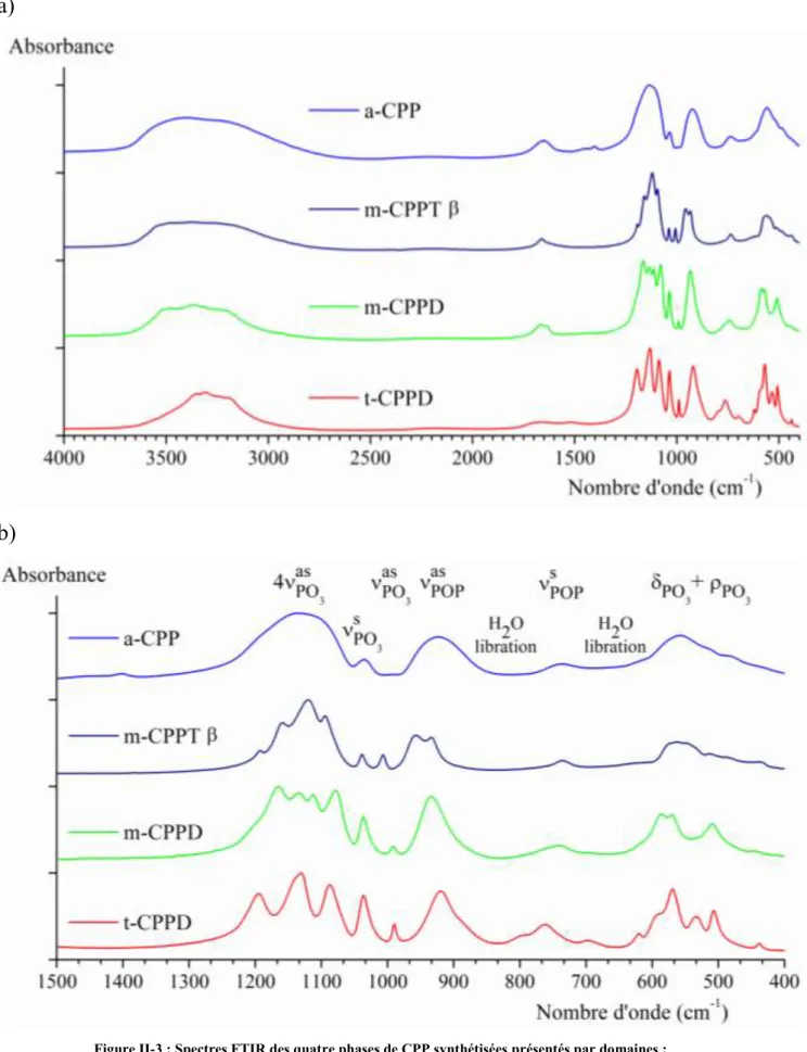 Figure        II-3 : Spectres FTIR des quatre phases de CPP synthétisées présentés par domaines :   a) 4000–400 cm -1  et b) 1300–500 cm -1 