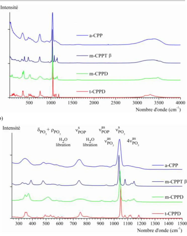 Figure       II-4 : Spectres Raman des quatre phases de CPP synthétisées présentés par domaines :   a) 50–4000 cm -1  et b) 250–1300 cm -1