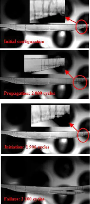 Fig. 8: Delamination length versus number of cycles for both  configurations at 47% of static load