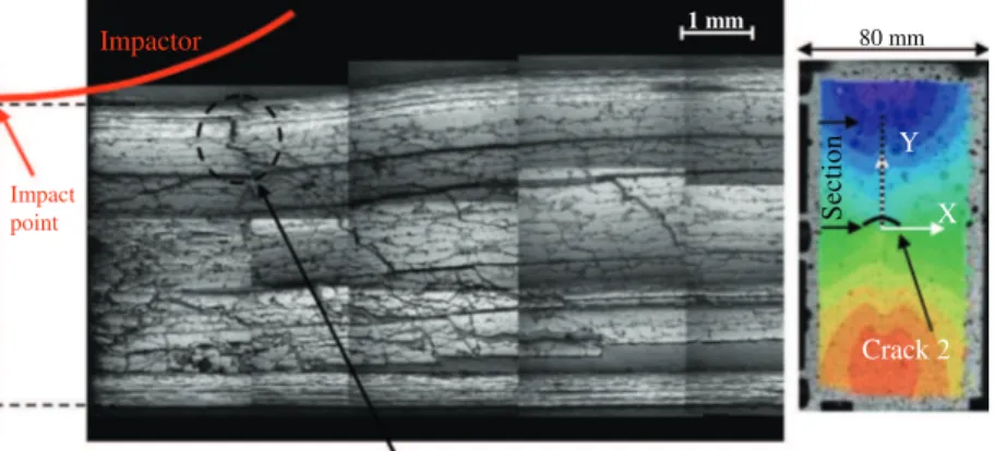 Fig. 20. Inside laminate cracks after static indentation.