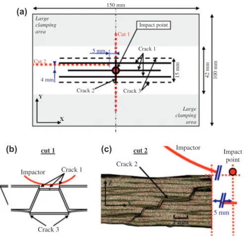 Fig. 1. Main damage after impact in HO plates: (a) localisation of main cracks, (b) trapezoidal shaped damage, and (c) crack 2.