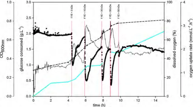 Fig. 7 Time course evolution of the dissolved oxygen ( ), the glucose uptake ( ), the OD 600nm ( ) and the oxygen uptake rate ( ) during the culture of Deinococcus geothermalis DSM