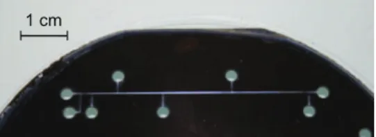 Fig. 3 presents a scheme of the experimental bench. The introduction of the ﬂuids is performed by syringes with stainless steel needles placed on syringe pumps (Harvard Apparatus PHD2000 or PicoPlus)