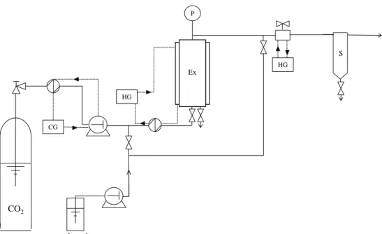Fig. 1 Schematic representation of the supercritical carbon dioxide pilot experiment (CG cooling unit, HG heating unit, Ex extractor, S separator)