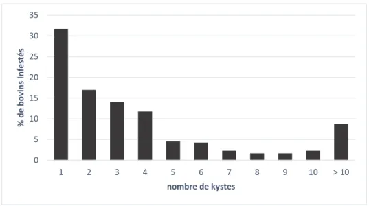 Figure 19. Nombre de kystes par bovin infesté de l'étude (n=306) 0510152025303512345678910&gt; 10% de bovins infestés nombre de kystes 