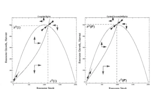 Fig .  3 .1:  Phase  diagrams  of  the  dynamical  system  with  complete  and  par tial  property  rights  rcspcctivcly