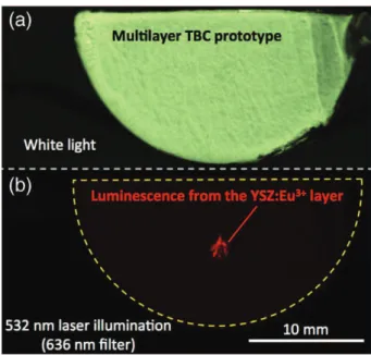 Fig. 10. Images of a multilayer TBC prototype (a) under white light illumination, (b) illuminated with a 532 nm laser showing the luminescence intensity at 636 nm from the YSZ:Eu 3+ layer located at the interface with the bond coat.