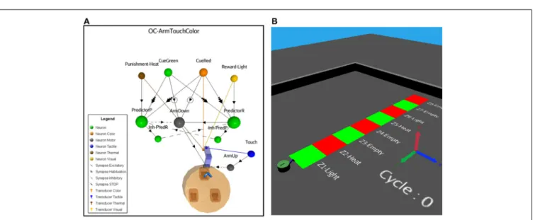 FIGURE 8 | (A) ASNN corresponding to the arm-down behavior when the robot passes over color bars on the floor