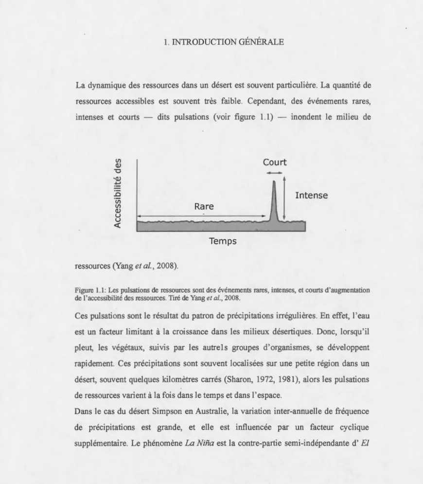 Figure  1.1:  Les  pulsations de ressources  sont des événements  rares, intenses,  et courts d 'augmentation  de l'accessibilité des  ressources