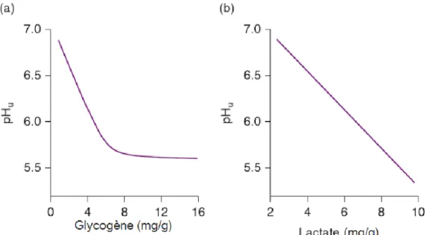 Figure 1-9 : a) L'effet de la concentration de glycogène sur le pHu b) L’effet de la concentration de  lactate sur le pHu  ( Warris, 2000)
