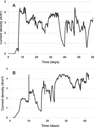 Fig. 2. Current density versus time of a bioanode formed in raw paper mill effluent. The first 7 days were run in batch mode, then the reactor was fed continuously with raw effluent (HRT 24 h)