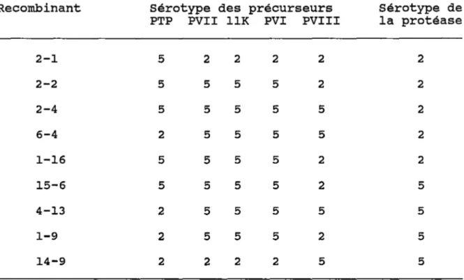Tableau  4.  Virus  recombinants  sélectionnés  par  comparaison  de  cartographie  génétique  (Weber  et  Hassell,  1979)  avec  les  séquences  de  Ad2  publiées  plus  récemment  démontrant  la  possibilité  de  clivage  intersérotypique