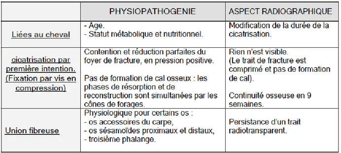 Tableau 4: Variation du processus de cicatrisation osseuse: facteurs physiologiques d'après (BERTONI, 2008) 