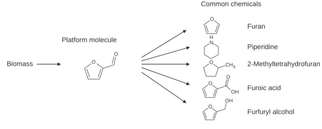 Fig ure 5. Selection of a candidate molecule after property prediction.