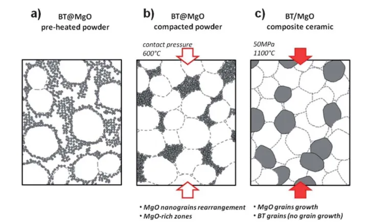 Fig. 6 Schematic drawing of the densi ﬁcation process occurring during the SPS. The nominal state (a) consists of BT@MgO core–shell particles