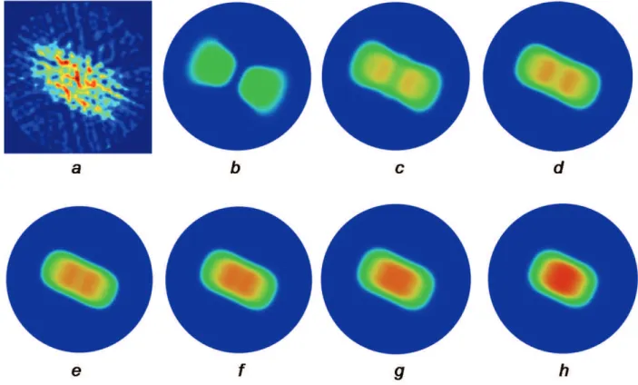 Figure 5: Liquid distribution in the first pack (cross-section Z 2 ) for several values of h ∗ and p c0 = 0.1 kg/m/s 2 