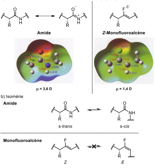 Figure I.10. Comparaison de l’amide et du monofluoroalcène. Les cartes de densité  électronique sont tirées de la réf