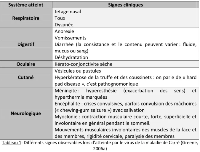 Tableau 1: Différents signes observables lors d’atteinte par le virus de la maladie de Carré (Greene,  2006a) 