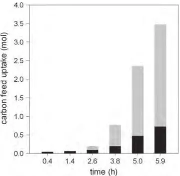 Fig. 2 D. geothermalis DSM 11302 grown on glucose and yeast extract in fed-batch conditions (microscopic observation ×1,000)