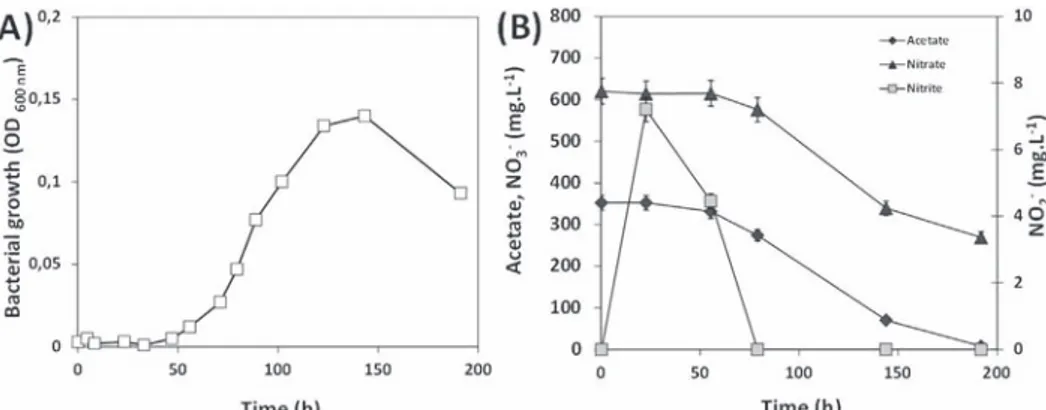 Fig. 4A shows that the growth of Hd in the presence of acetate and nitrate started after a lag phase of about 48 h