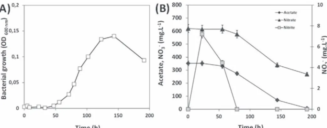 Fig. 4A shows that the growth of Hd in the presence of acetate and nitrate started after a lag phase of about 48 h