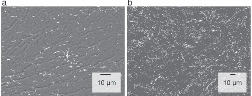 Fig. 3. (a, b) SEM images of the fracture surface of PEKK/AgNWs composites at 0.8 vol% and 3 vol%.