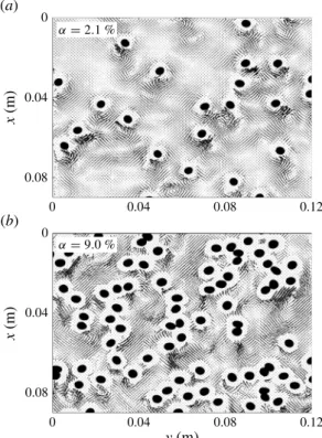 Figure 2 (a,b) shows instantaneous velocity fields for two gas volume fractions (↵ = 2.1 % and 9 %)