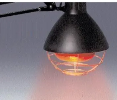 Figure 9 : lampe infrarouge  (www.stoeltingco.com)