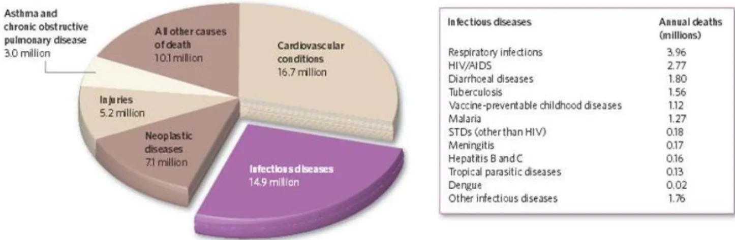 Figure  1 :  Principales  causes  de  mortalité  dans le monde  