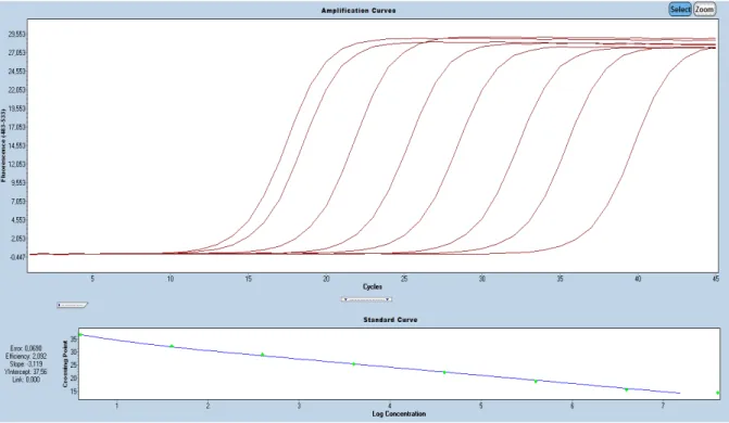 Figure 5 : Représentation d’une gamme étalon d’une PCR quantitative et de sa courbe standard