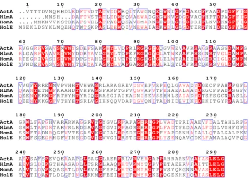 Fig. 2 Alignment of S. algeriensis ActA (accession no. AHB86989.1) with HlmA in S. clavuligerus (WP_003955866.1), HlmA in S