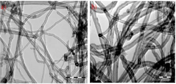 Figure 2.1 TEM micrographs of pristine (a) CNT F  and (b) CNT C .    The textural properties of those MWCNTs are summarized in Table 2.1