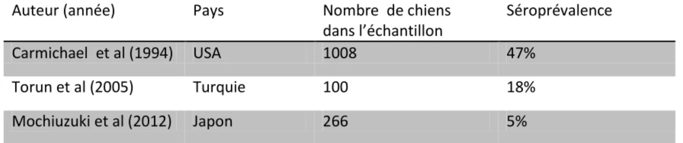 Tableau 3 : Séroprévalence du virus minute dans le monde 