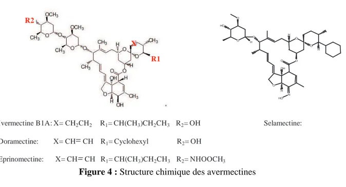 Figure 4 : Structure chimique des avermectines 
