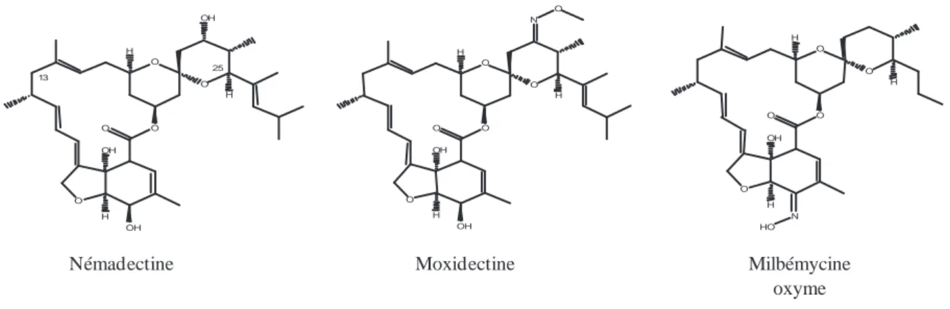 Figure 5 : Structure chimique des milbémycines 