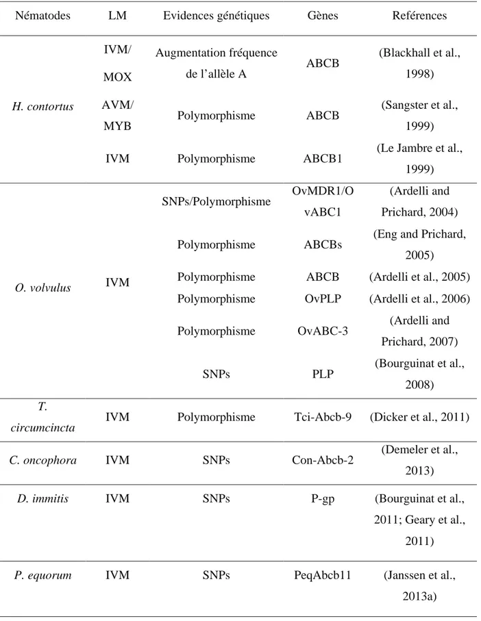 Tableau  4 :  Inventaire  des  études  proposant  les  transporteurs  ABC  d’efflux  comme  marqueurs  moléculaires  de  la  résistance  aux  LMs  chez  les  principaux  nématodes   gastro-intestinaux.