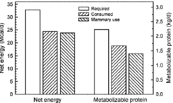 Figure 5 : Calcul des quantités d'énergie et de protéines métabolisable requises, ingérées et utilisées par la  glande mammaire d’une vache laitière quatre jours après le vêlage (Drackley 1999) 
