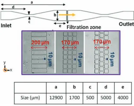 FIG. 1. Sketch of the PDMS micro-separators working in dead-end mode. The dimensions of the two micro-separators were: (a) 12.90 mm; (b) 1.70 mm; (c) 0.50 mm; (d) 11 mm; (e) 5 mm; (f) 4 mm