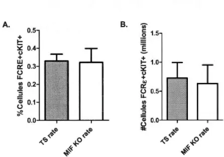 Figure  2.3:  Quant ification  cytofluorométrique  du  pourcentage  des  mastocytes  (cellules  FCRE+  et cKIT  +)  dans  la  rate  de souris  BALB/c  TS  et  MlF  KO  naïves 