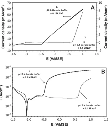 Fig. 6. (A) Polarization curves of pure iron in the presence of pH 8.4 borate buffer solution containing 0.1 M NaF (curve a) and in the presence of pH 8.4 borate buffer solution containing 0.1 M NaCl (curve b) and (B) corresponding semi-logarithmic plots o