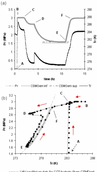 Figure 3. Typical experiment (N = 275 rpm, no  SDS, initial pressure = 3.0 MPa. (a) evolution of 