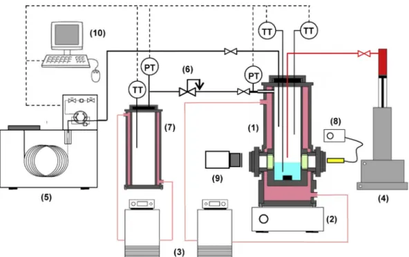 Fig. 1 – Schematic diagram of the experimental setup: (1) hydrate forming cell; (2) magnetic agitator; (3) thermostatic baths; (4) syringe pump; (5) high pressure gas chromatograph, (6) pressure reducing valve, (7) gas storage vessel; (8) lighting system; 