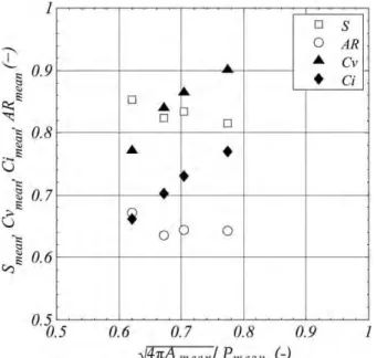 Figure 9. R g surface distributions over time.