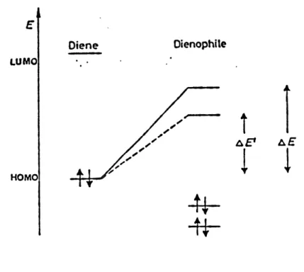 Figure 1. Disposition HOMO-LUMO catalysee par les acides de Lewis (ligne hachuree) et non-catalysee (ligne pleine).