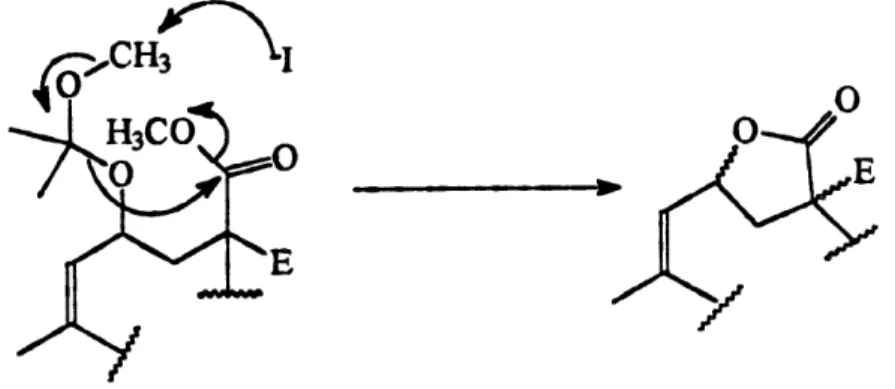 Figure 4. Mecanisme de deprotection et de lactonisation du macrocycle 87.