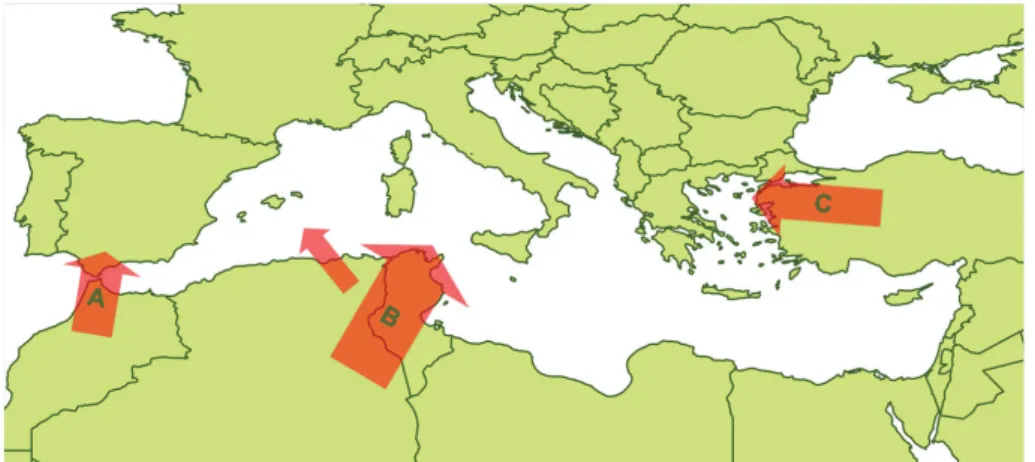 Figure 6 : Principales voies d’incursion du BTV en Europe (d’après Wilson et al., 2008)