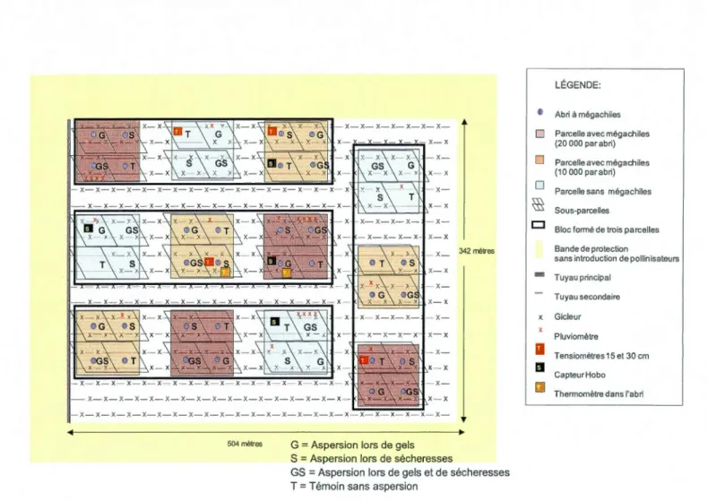 Figure 2.  1 Dispositif expérimental à la bleuetière des Escoumins  affic hant quatre répétitio ns  de traite ments comportant trois  parcell es (densités  de mégac hiles) composées chacune de 