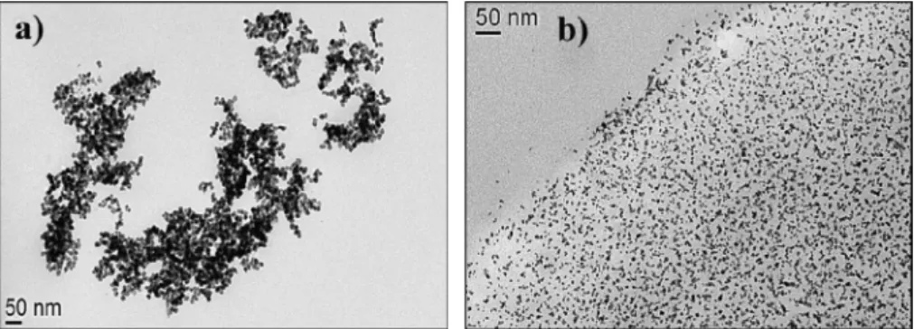 Fig. 9. TEM images of (a) aggregate in pristine polyethersulfone and (b) external cross section of poly(acrylic acid) grafted membrane (PES-PAA5).