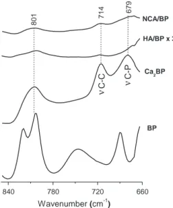 Fig. 5. Additional bands were observed for both apatitic minerals upon interaction with risedronate molecules
