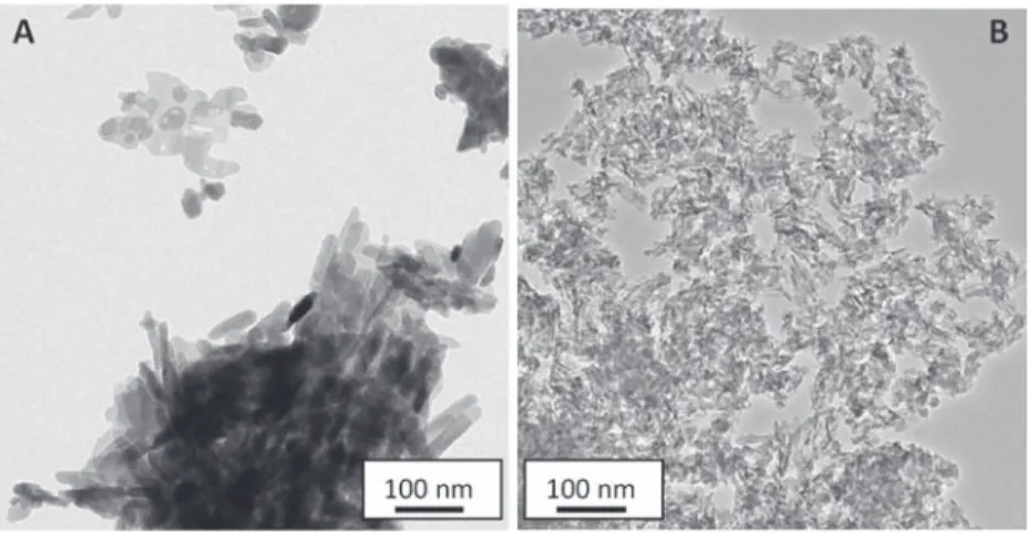 Fig. 4. (A) FTIR spectra of hydroxyapatite (HA) and nanocrystalline apatite (NCA) and (B) the corresponding decomposition in the m 4 PO 4 domain.